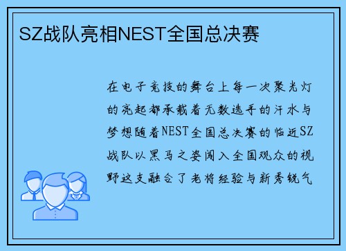 SZ战队亮相NEST全国总决赛